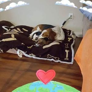 Meet your Posher, Debbie